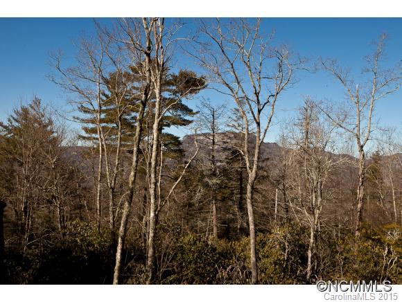36 Southeast Ridge Road Cashiers, NC 28717 - Photo 6 of 24 Gallery Image 6