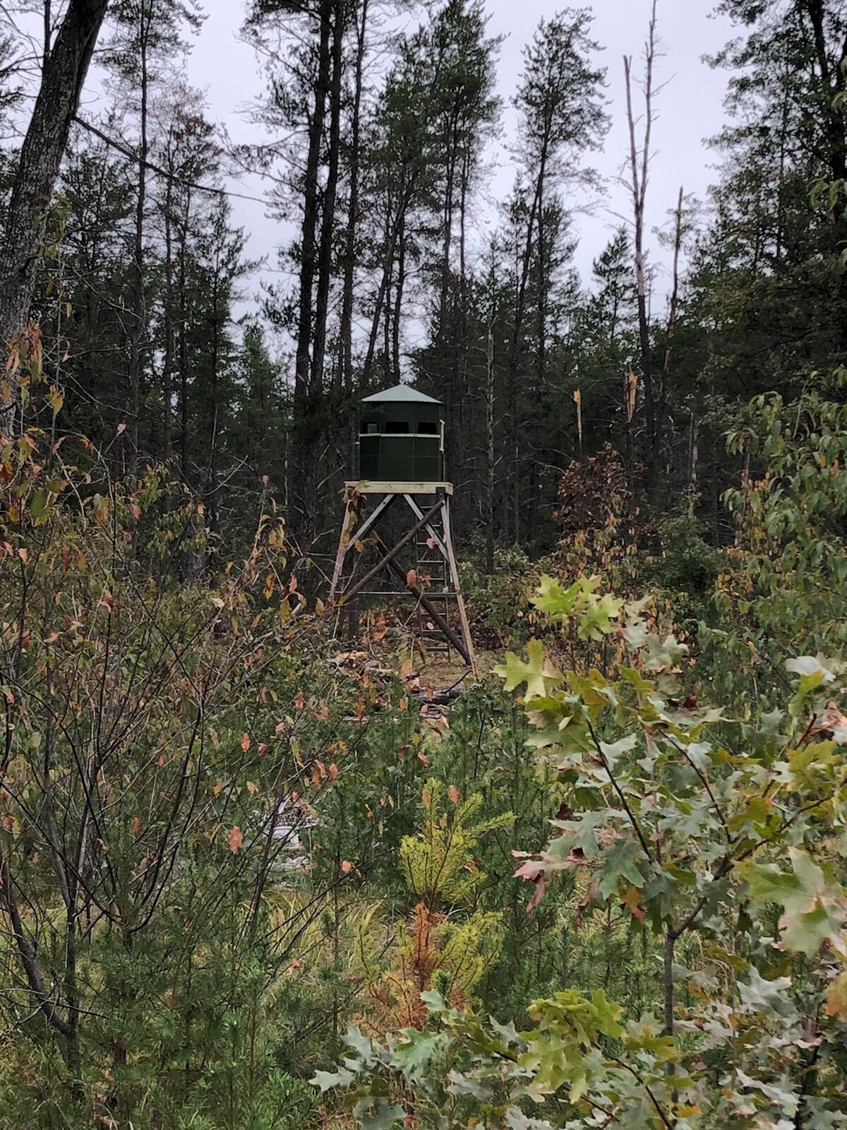 463 11 Mile Road Irons, MI 49644 - Photo 28 of 28 Attachment