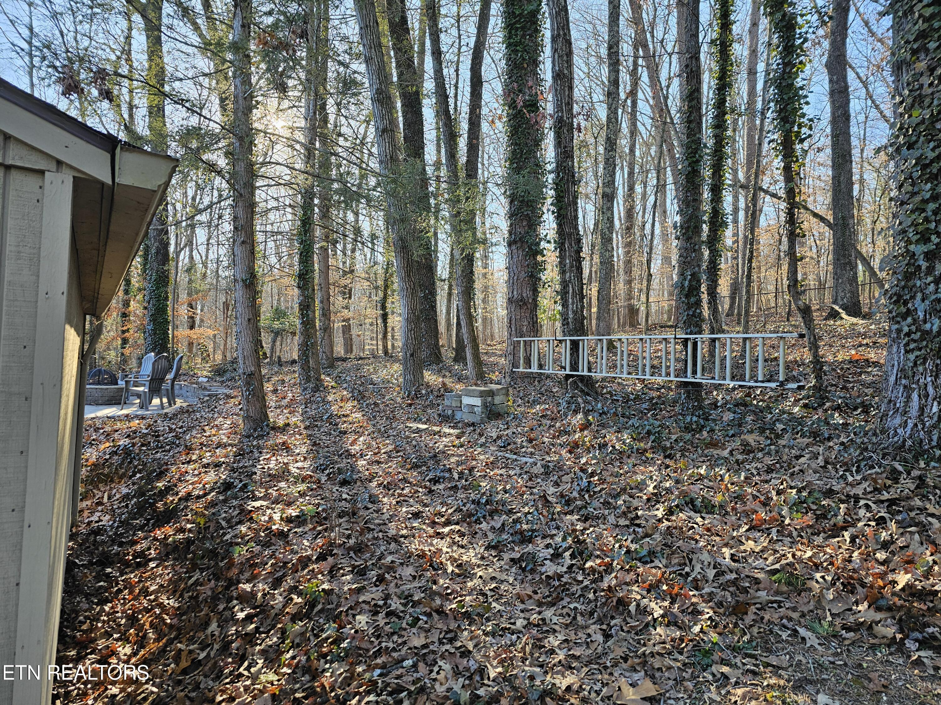 123 Taylor Road Oak Ridge, TN 37830 - Photo 41 of 42 20250128_155947