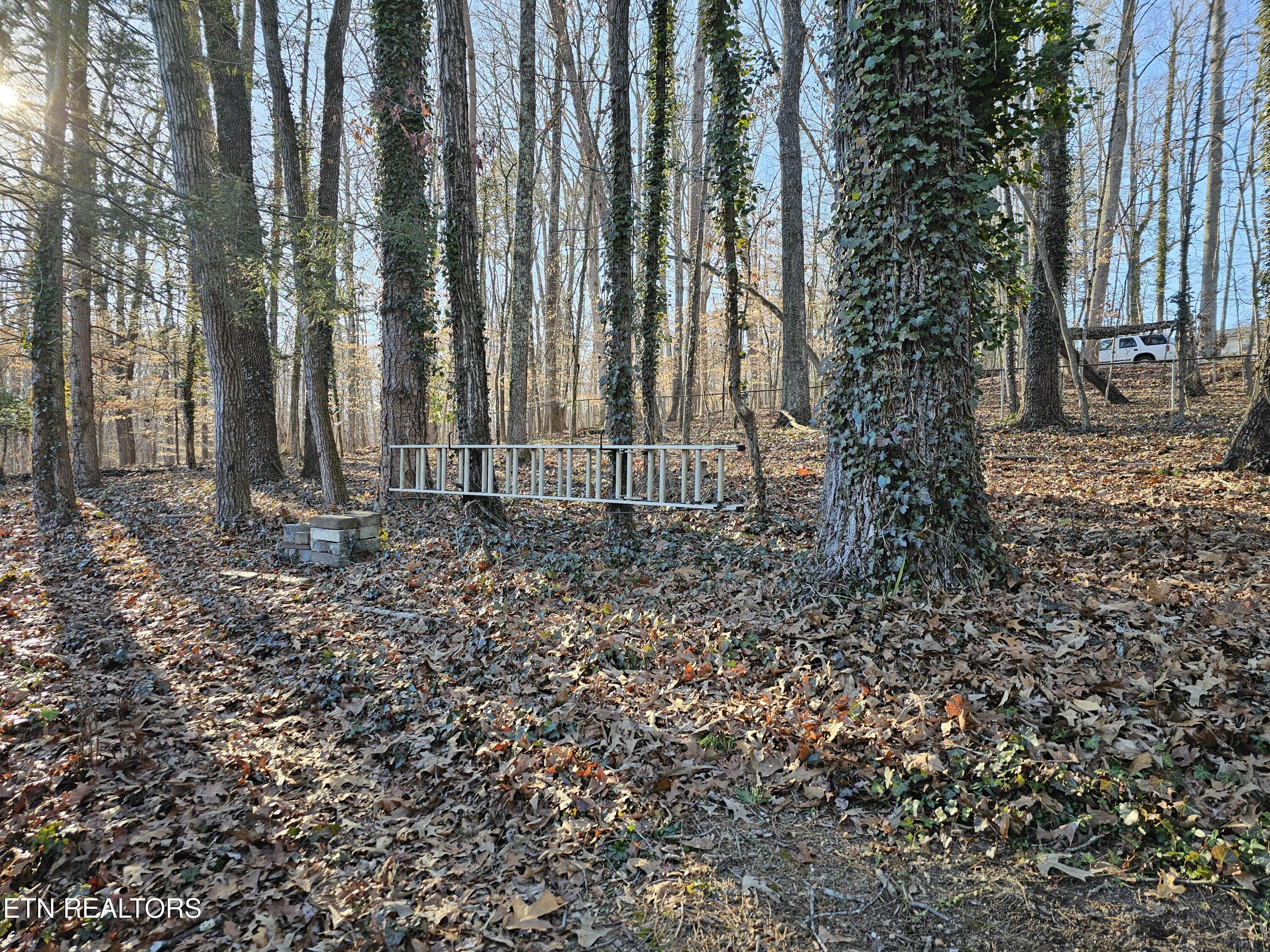 123 Taylor Road Oak Ridge, TN 37830 - Photo 42 of 42 20250128_155949