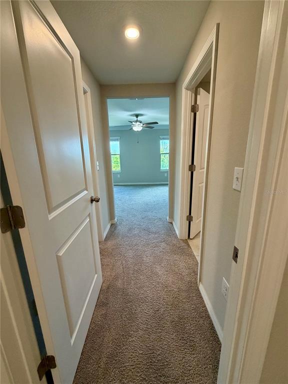 11826 Dumaine Valley Road Riverview, FL 33579 - Photo 18 of 54