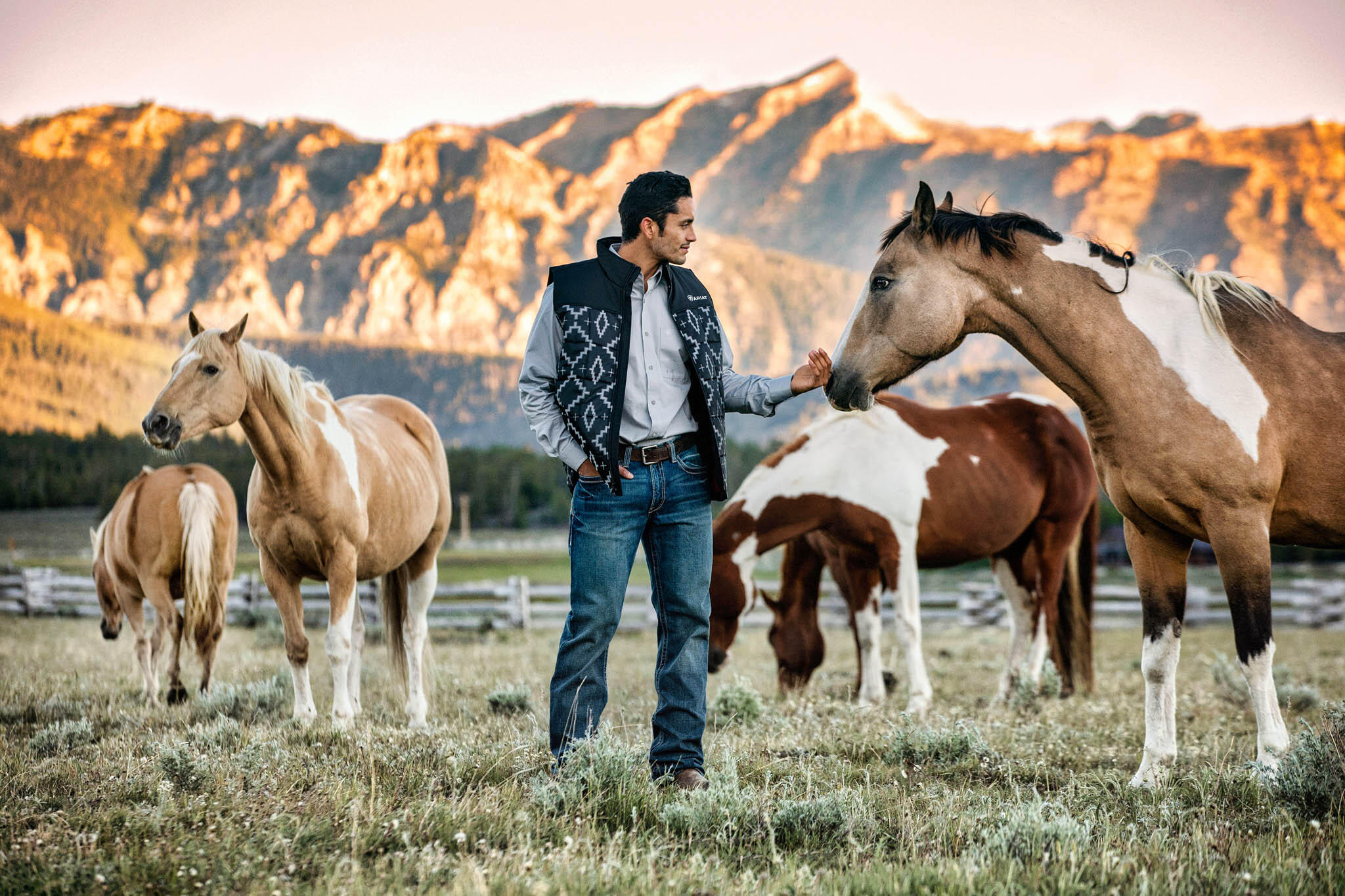 16825 Highway 75 Stanley, ID 83278 - Photo 41 of 52 Horses are allowed