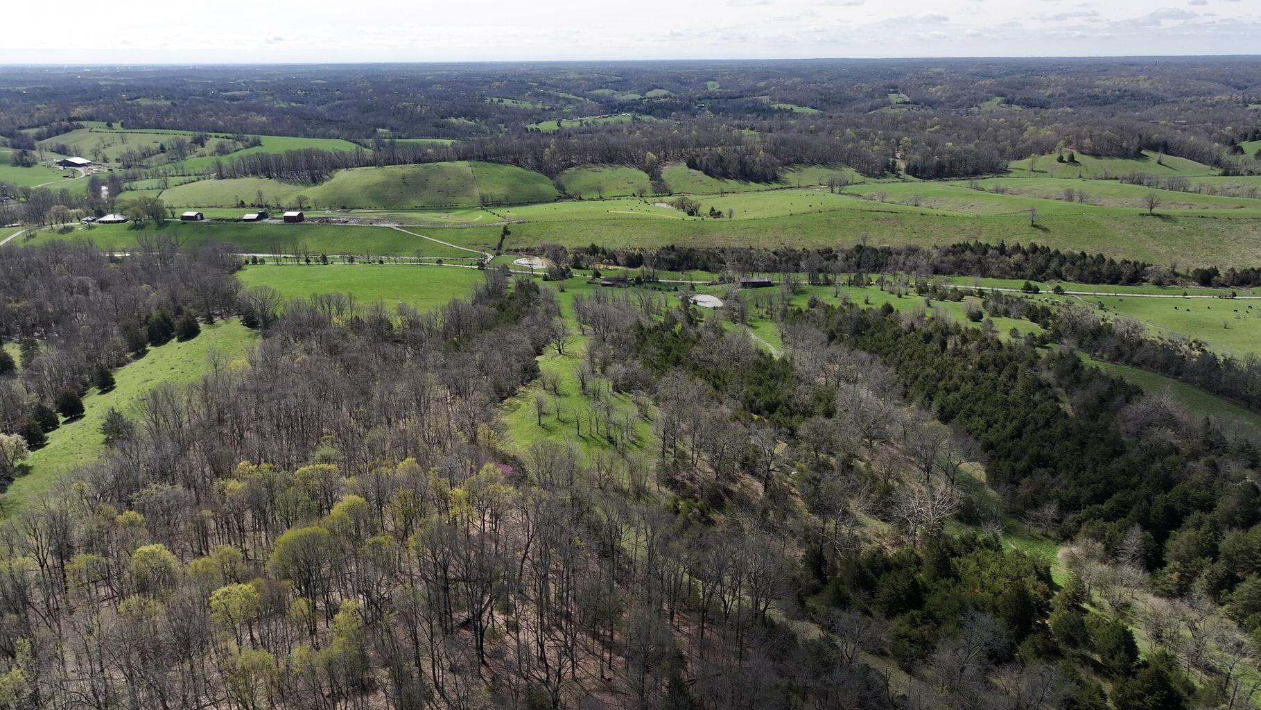 51.85 Rutland Road Cynthiana, KY 41031 - Photo 16 of 33 Gallery Image 16