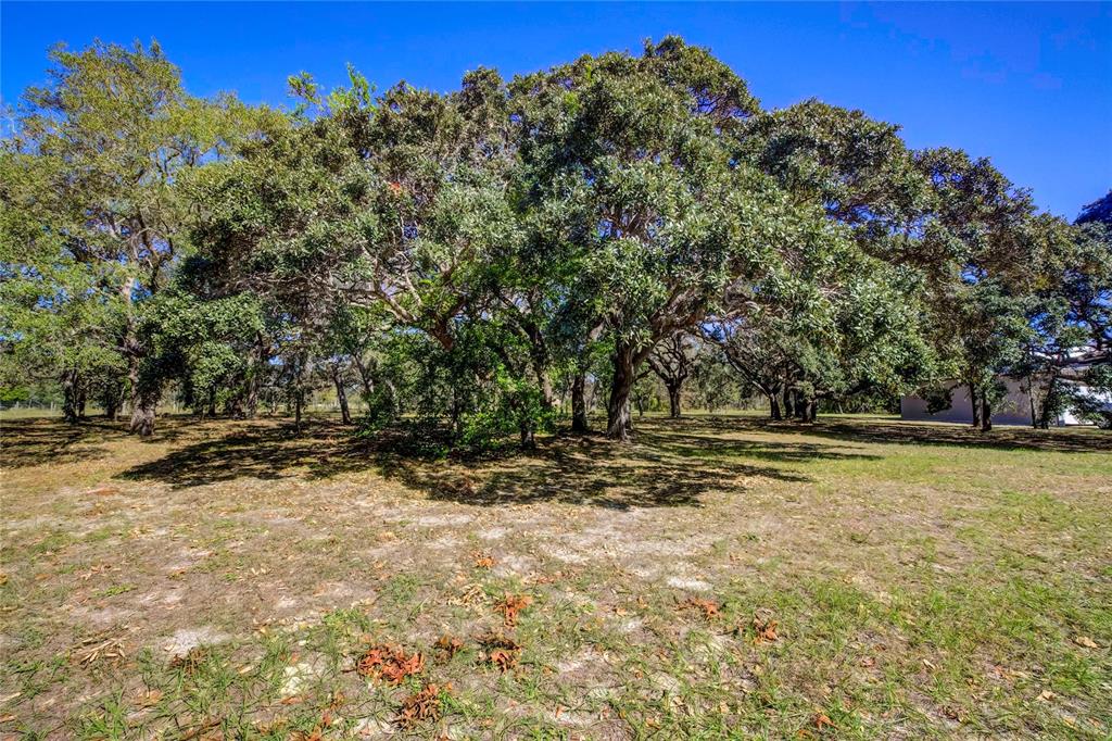 9465 May Gold Lane Spring Hill, FL 34608 - Photo 52 of 70 Gallery Image 52