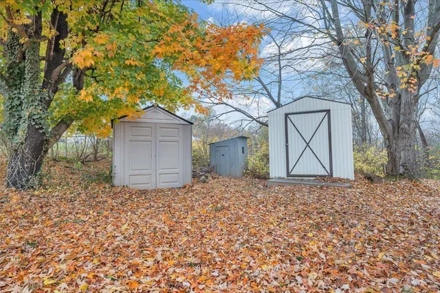 a view of a yard with a tree