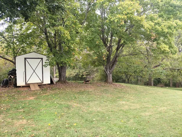 a view of a yard with plants and trees