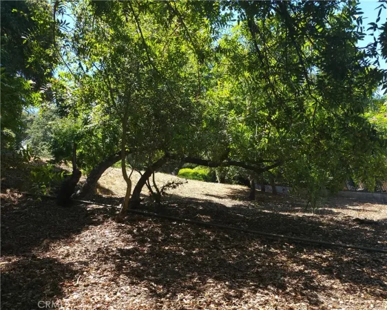 $149,999 | 0 Ravine Chino Hills, Chino Hills, CA 91709