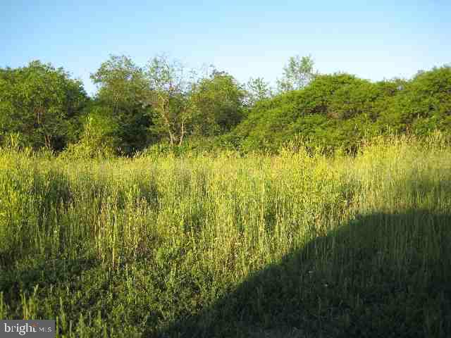 30 Hunkey Hollow Road Duncannon, PA 17020 - Photo 1 of 5 Gallery Image 1