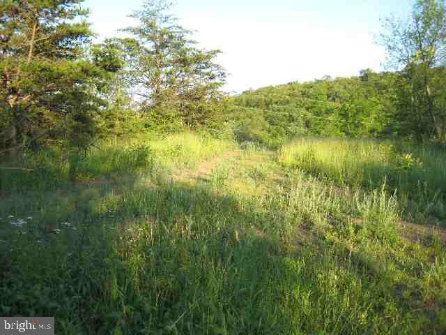 30 Hunkey Hollow Road Duncannon, PA 17020 - Photo 3 of 5 Gallery Image 3