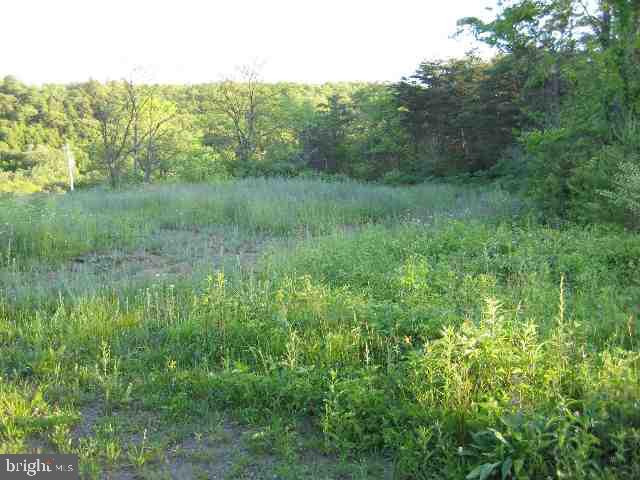 30 Hunkey Hollow Road Duncannon, PA 17020 - Photo 4 of 5 Gallery Image 4