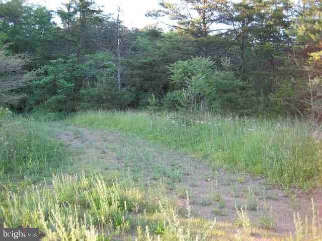 30 Hunkey Hollow Road Duncannon, PA 17020 - Photo 5 of 5 Gallery Image 5