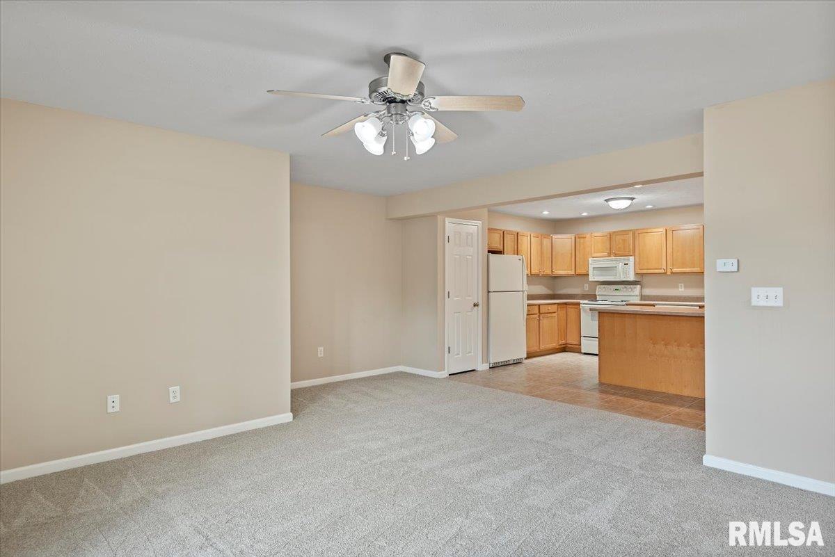 1773 Bilbridge Lane Chatham, IL 62629 - Photo 4 of 15