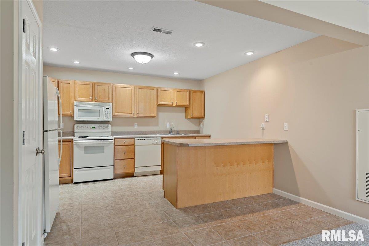 1773 Bilbridge Lane Chatham, IL 62629 - Photo 6 of 15