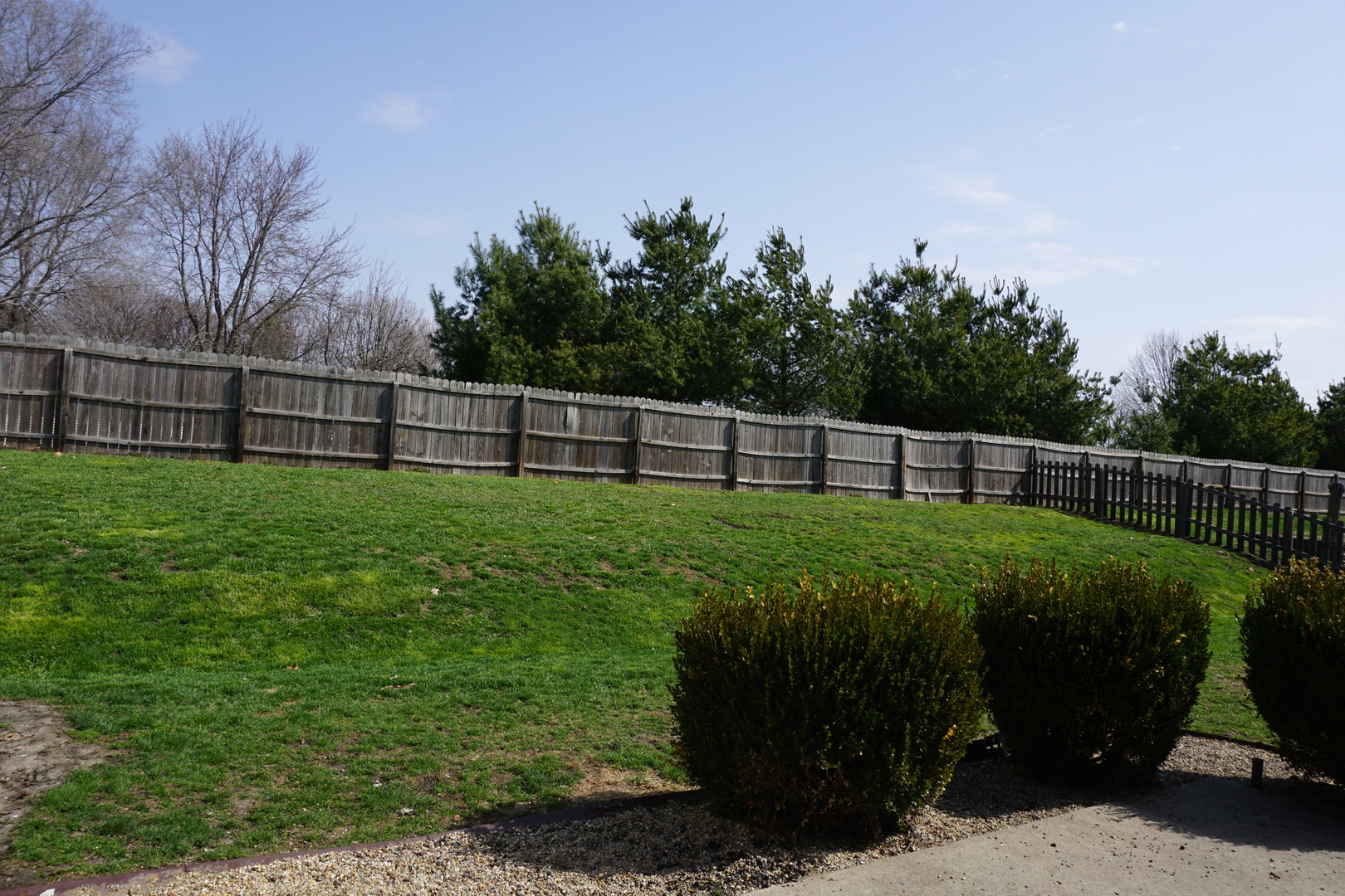 220 High Street Weldon, IL 61882 - Photo 7 of 33 a view of a backyard with a garden