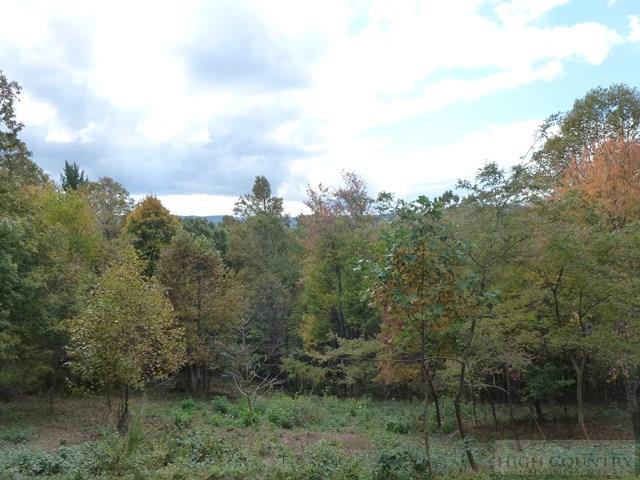 225 Touchdown Drive Boone, NC 28607 - Photo 41 of 41 Gallery Image 41