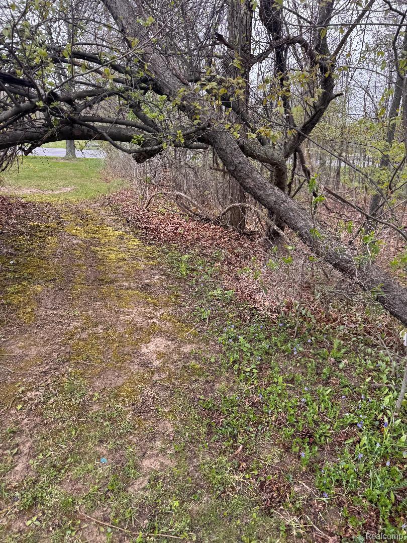 687 West Saginaw Road Mayville, MI 48744 - Photo 11 of 12 View of undeveloped land