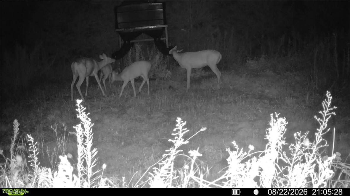 Lawndell Rd Beach Southwest Navarre, OH 44662 - Photo 13 of 50 Gallery Image 13