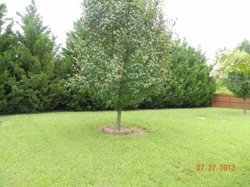 1215 Fox Ridge Drive Powell, TN 37849 - Photo 7 of 40 Additional Photo