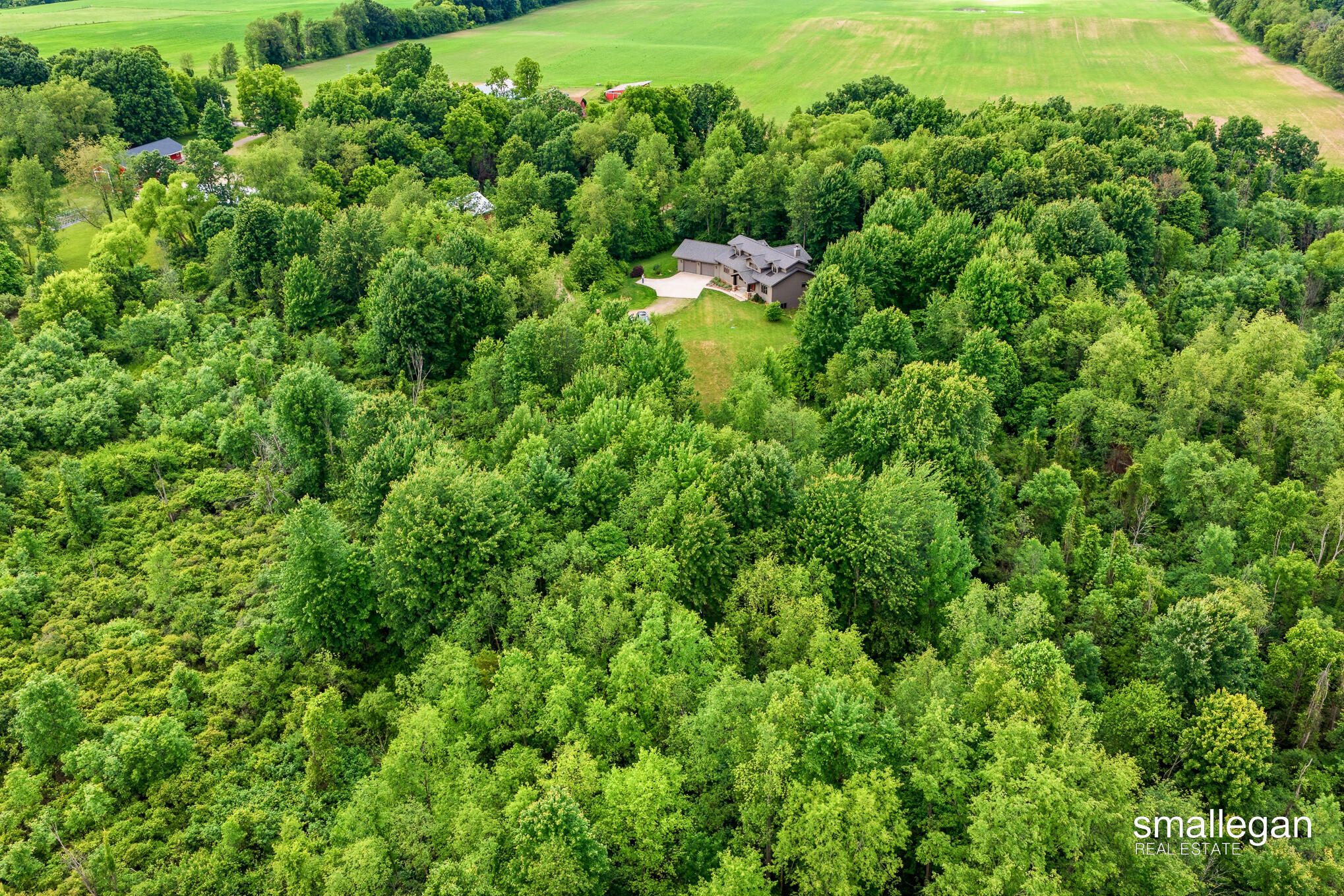 10156 Love Road Bellevue, MI 49021 - Photo 86 of 107 85