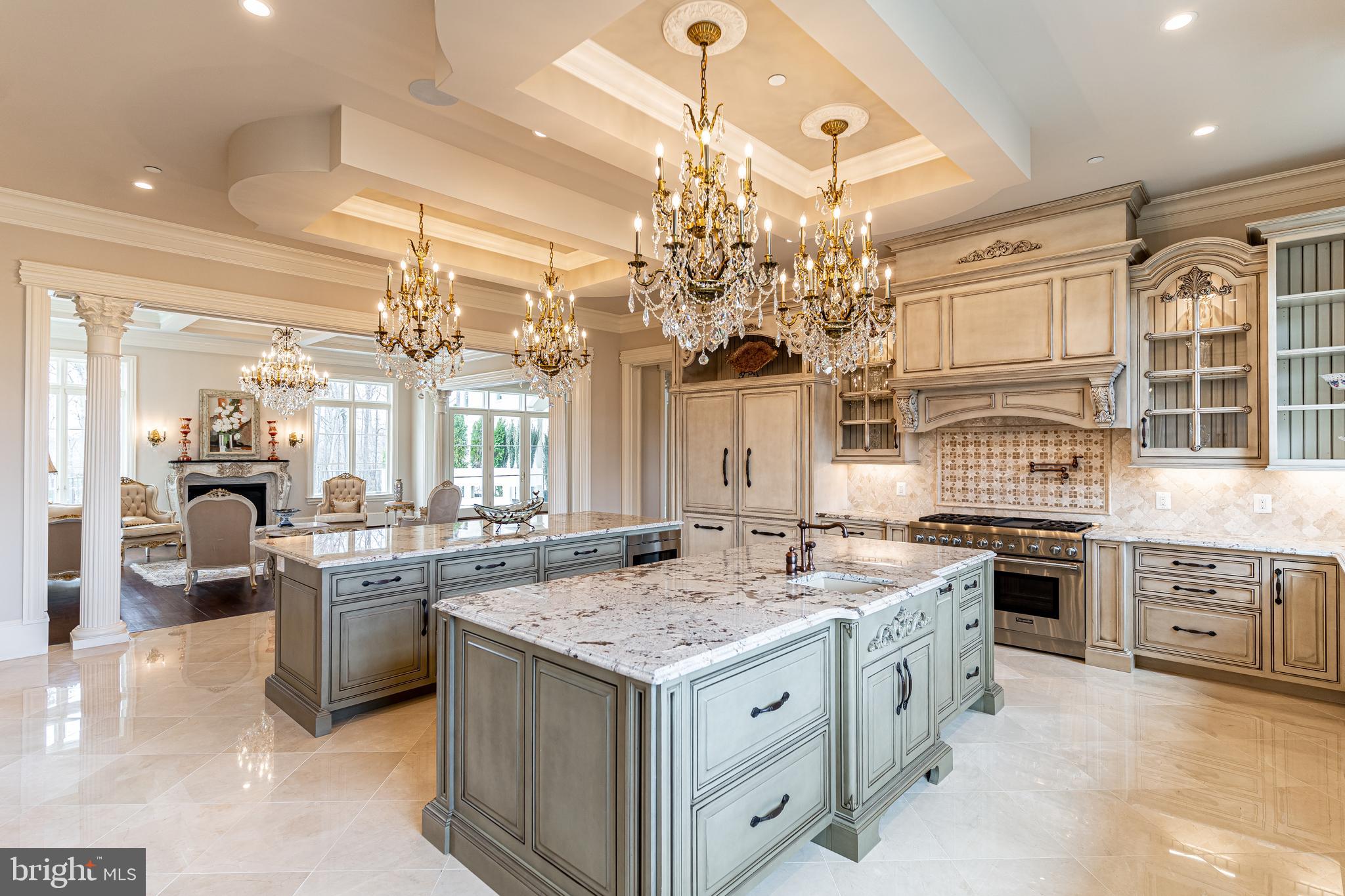 11345 Albermyrtle Road Potomac, MD 20854 - Photo 11 of 53 Gourmet Kitchen open to Family Room