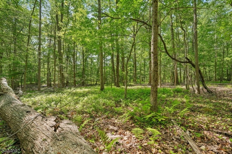 0 Homestead Road Gillette, NJ 07933 - Photo 13 of 26