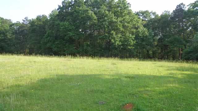 0 Welpine Road Pendleton, SC 29670 - Photo 3 of 10 Gallery Image 3