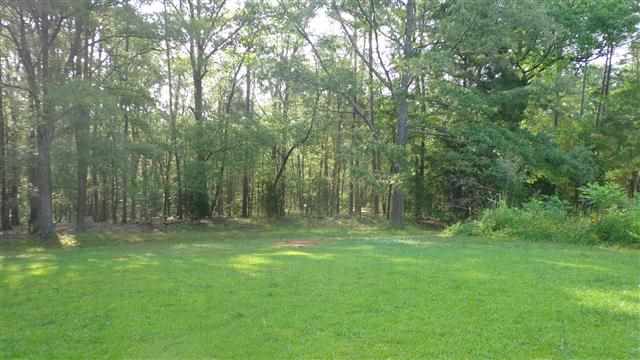 0 Welpine Road Pendleton, SC 29670 - Photo 5 of 10 Gallery Image 5