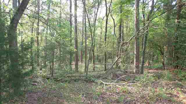 0 Welpine Road Pendleton, SC 29670 - Photo 6 of 10 Gallery Image 6