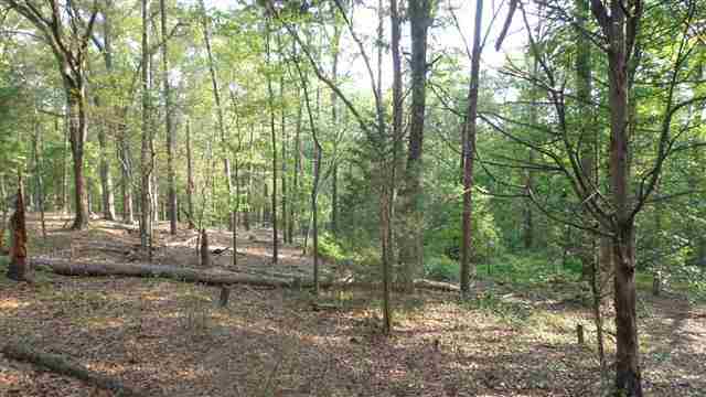 0 Welpine Road Pendleton, SC 29670 - Photo 7 of 10 Gallery Image 7