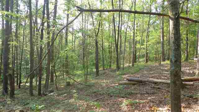 0 Welpine Road Pendleton, SC 29670 - Photo 8 of 10 Gallery Image 8