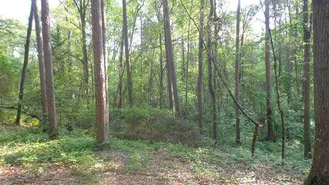0 Welpine Road Pendleton, SC 29670 - Photo 9 of 10 Gallery Image 9