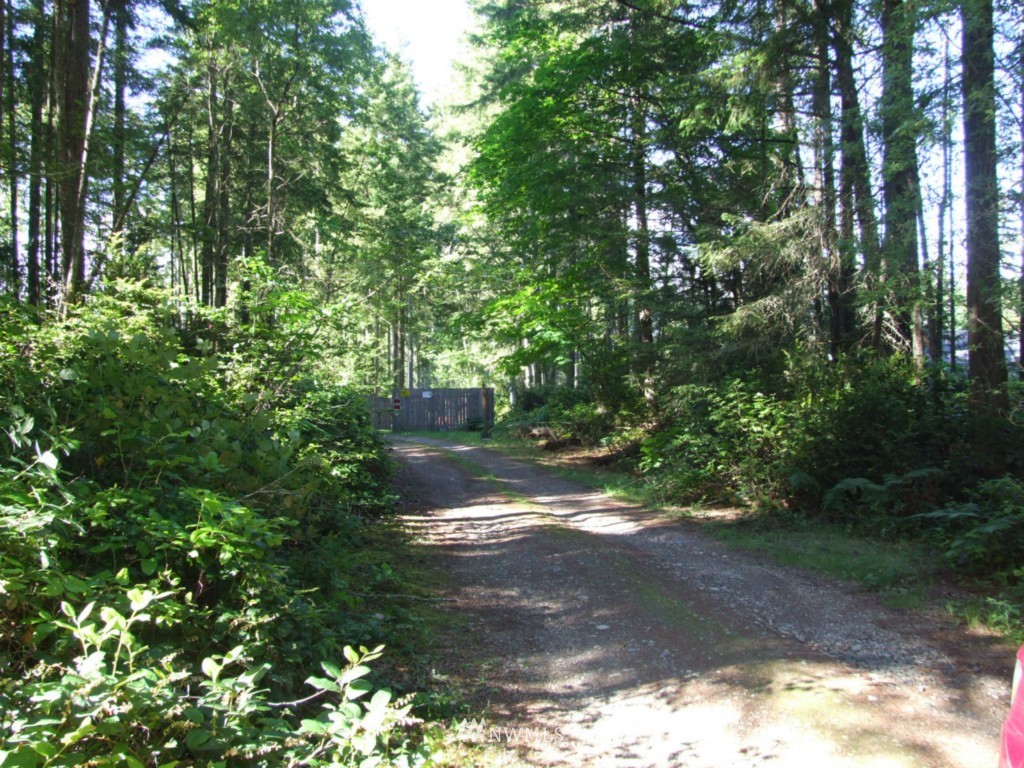 6822 Southeast Nelson Road Olalla, WA 98359 - Photo 3 of 3 Gallery Image 3