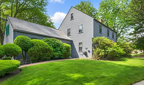 a view of a backyard with plants and large tree