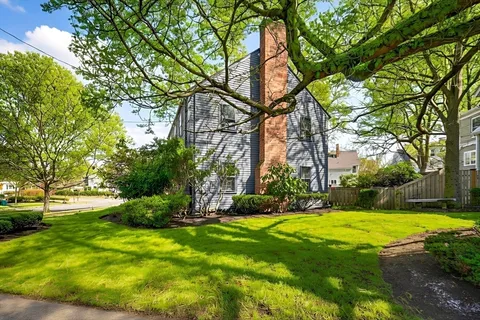 a view of a yard with plants and large trees