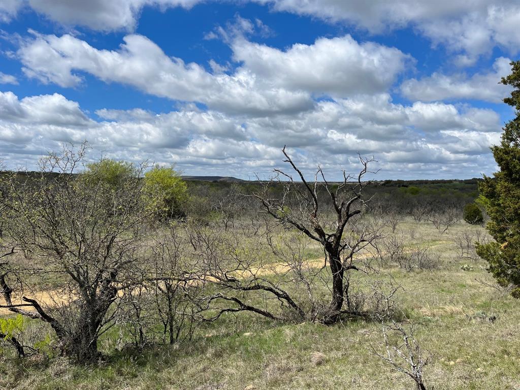 E 17-ac East 17-ac Burwick Road Jacksboro, TX 76458 - Photo 4 of 5 View of undeveloped land