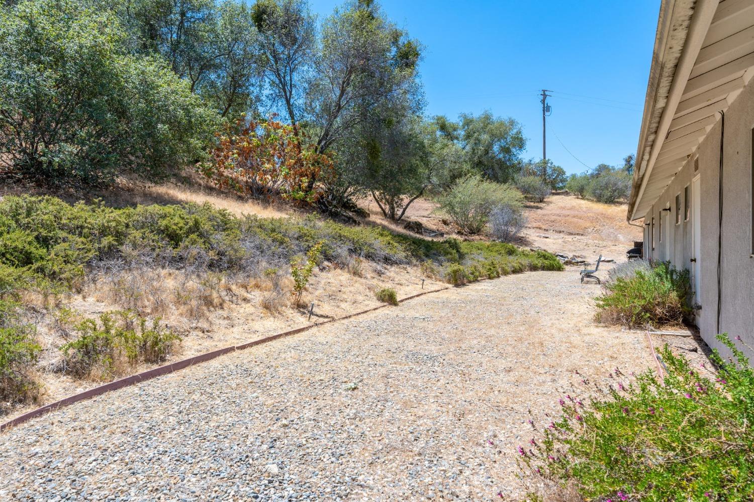 43142 Ellen Mine Road Coarsegold, CA 93614 - Photo 24 of 29 a view of a yard with plants and a bench