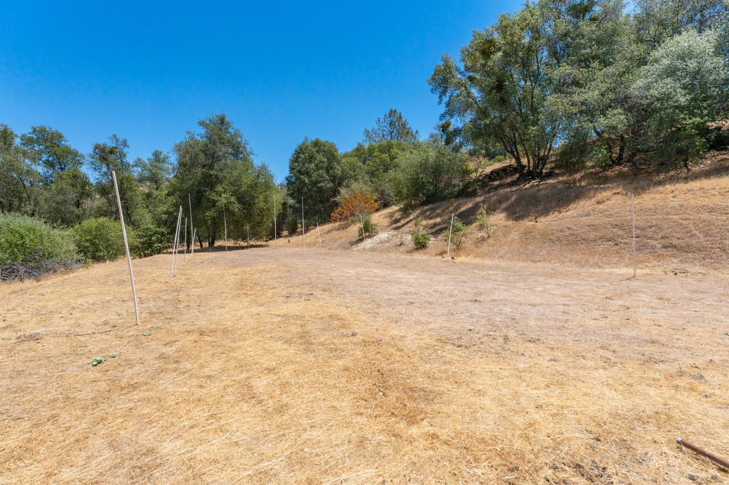 43142 Ellen Mine Road Coarsegold, CA 93614 - Photo 28 of 29 a view of a backyard of a house
