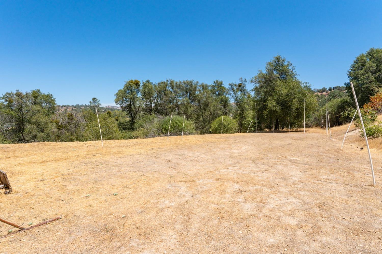 43142 Ellen Mine Road Coarsegold, CA 93614 - Photo 29 of 29 a view of a yard with trees