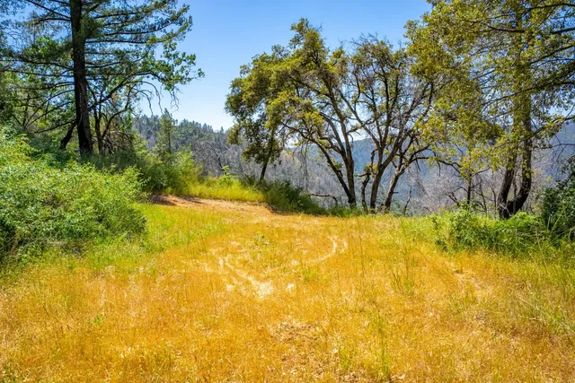 a view of a dry yard with mountains in the background