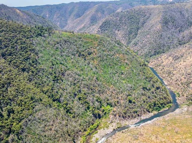 a view of a dry yard with mountains in the background