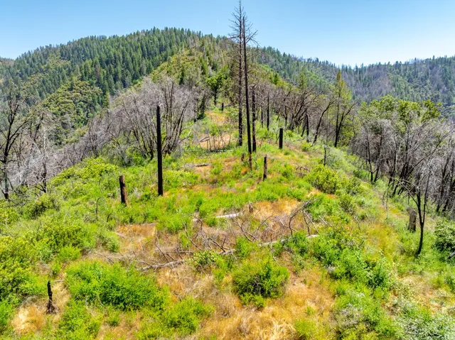 a view of a lush green hillside and a building