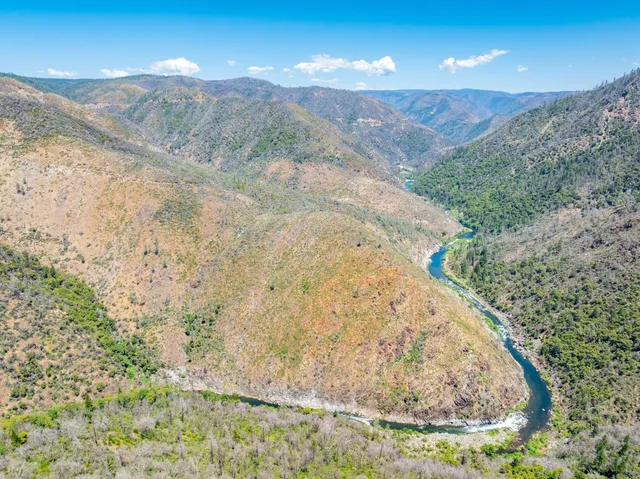 a view of a forest with a yard
