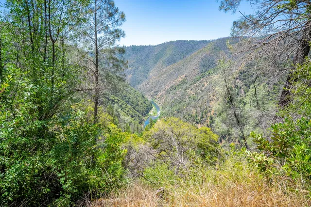 a view of a dry yard with mountains in the background
