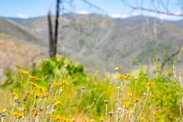 $499,000 | 1 Volcanoville Road, Georgetown, CA 95634