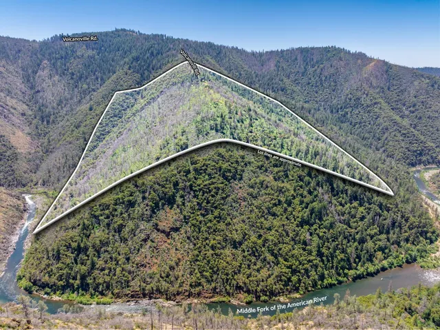 a view of a forest with mountains in the background