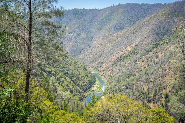 a view of a dry yard with mountains in the background