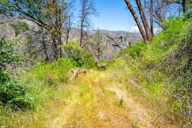 a view of a lake with a mountain in the background
