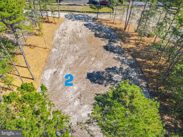 a view of a yard with trees