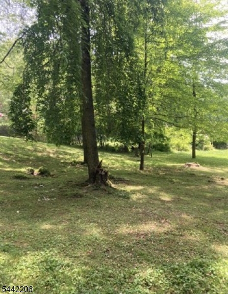 123 Mt Grove Road Califon, NJ 07830 - Photo 12 of 33