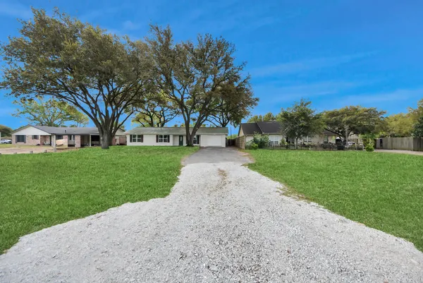 a view of a park with large trees
